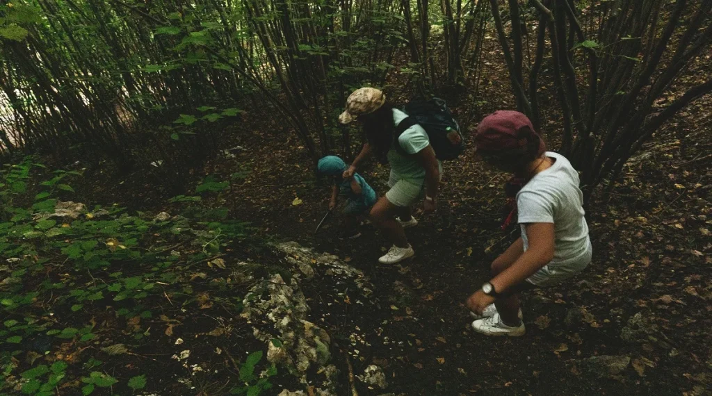 After the section “3. Nature walks with simple summer observation goals”
