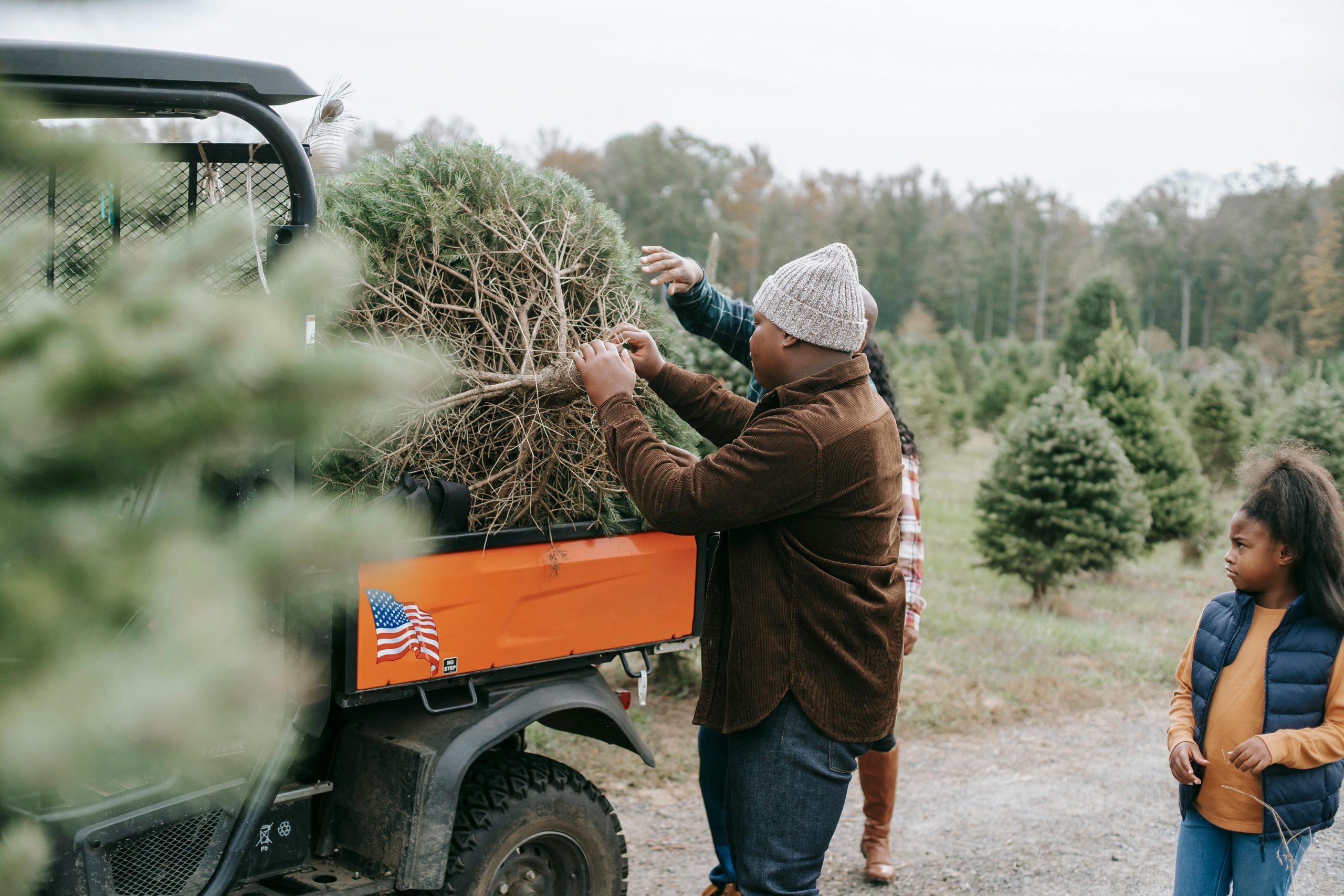 Why Small Seasonal Family Rituals Often Stay With Children for Years