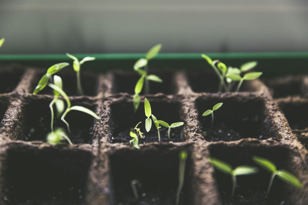 Spring family activities with gardening that support outdoor learning