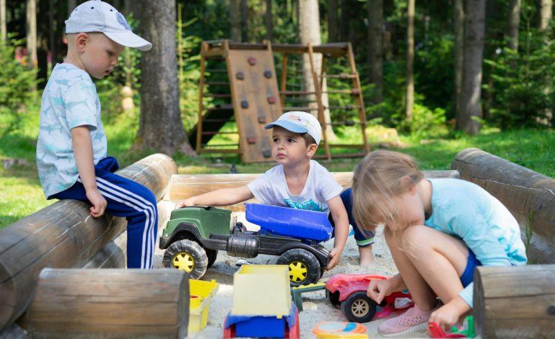 Children building social skills through play in a shared setting