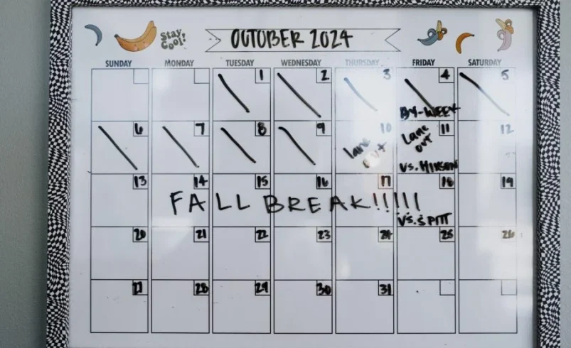 Shared family calendar spot helping organize the weekly home schedule